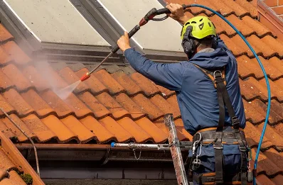 Démoussage et hydrofuge de toiture à Vicherey